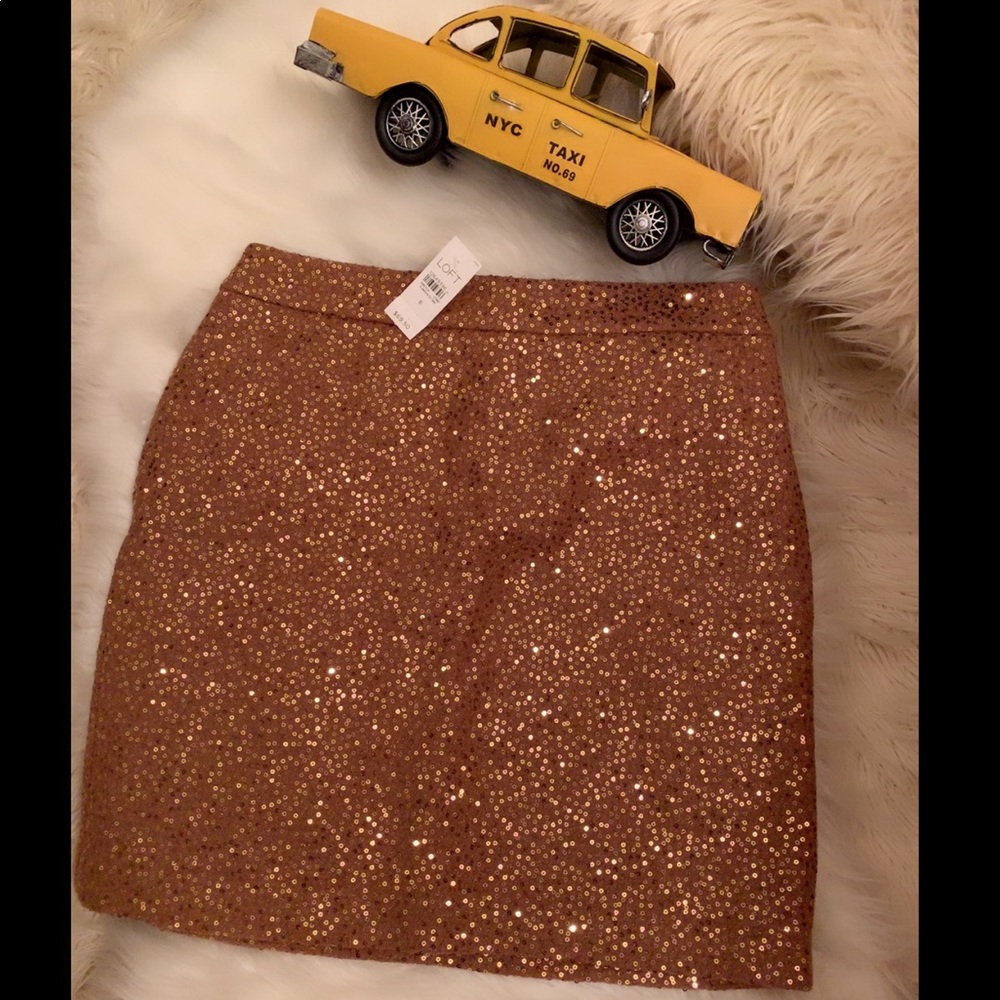Ann Taylor skirt